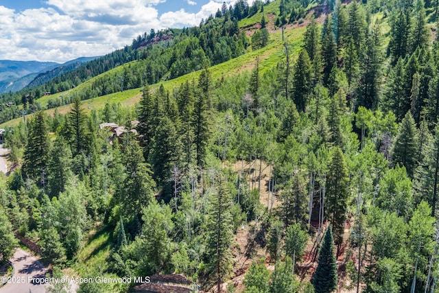 TBD Exhibition Ln Lot 13, Aspen, CO 81611 - photo 6