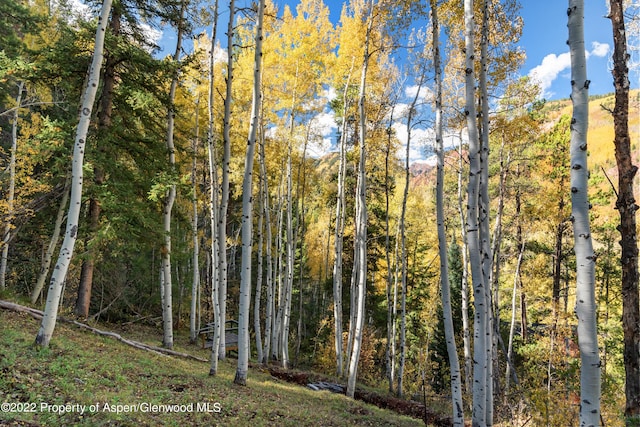 TBD Exhibition Ln Lot 13, Aspen, CO 81611 - photo 25