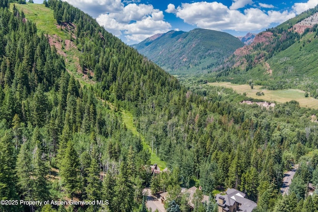 TBD Exhibition Ln Lot 13, Aspen, CO 81611 - photo 11