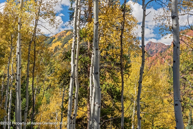 TBD Exhibition Ln Lot 13, Aspen, CO 81611 - photo 28