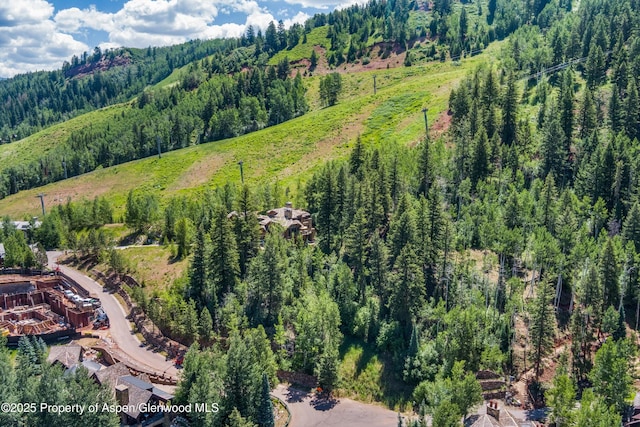 TBD Exhibition Ln Lot 13, Aspen, CO 81611 - photo 7