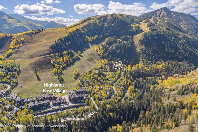 TBD Exhibition Ln Lot 13, Aspen, CO 81611 - photo 13