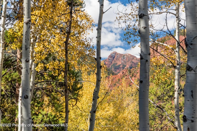 TBD Exhibition Ln Lot 13, Aspen, CO 81611 - photo 27