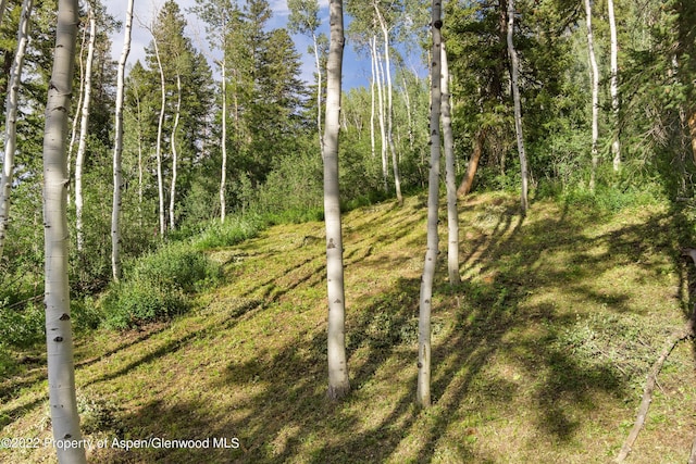 TBD Exhibition Ln Lot 13, Aspen, CO 81611 - photo 23