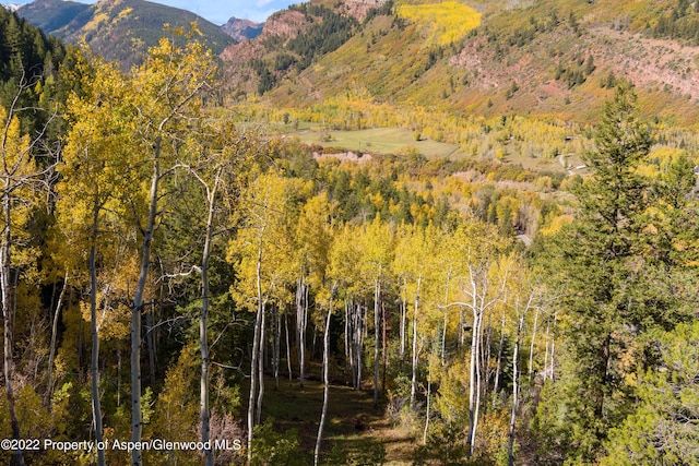 TBD Exhibition Ln Lot 13, Aspen, CO 81611 - photo 18