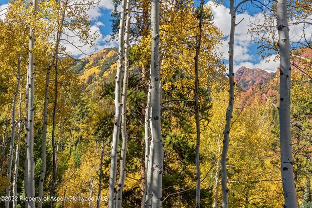 TBD Exhibition Ln Lot 13, Aspen, CO 81611 - photo 17