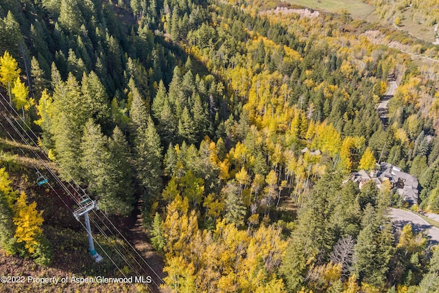 TBD Exhibition Ln Lot 13, Aspen, CO 81611 - photo 31