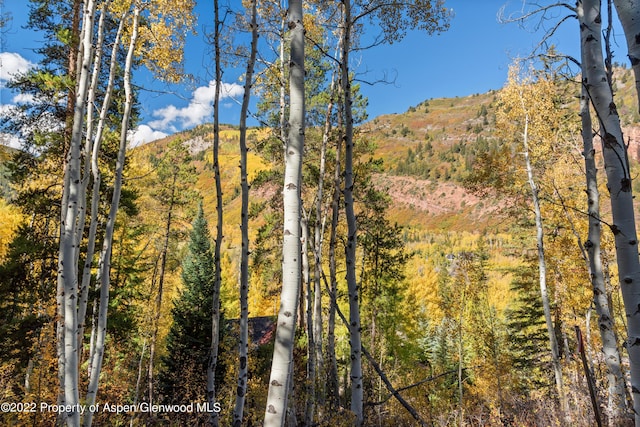 TBD Exhibition Ln Lot 13, Aspen, CO 81611 - photo 26