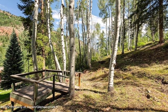 TBD Exhibition Ln Lot 13, Aspen, CO 81611 - photo 21