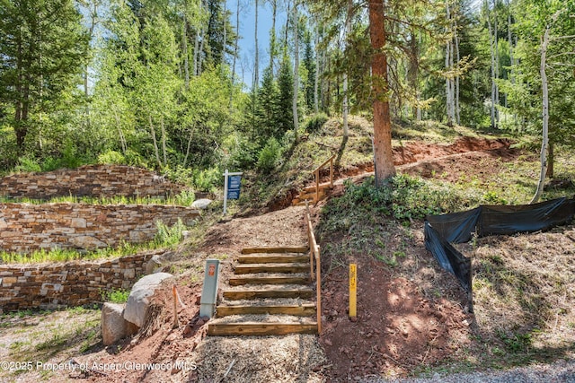 TBD Exhibition Ln Lot 13, Aspen, CO 81611 - photo 3