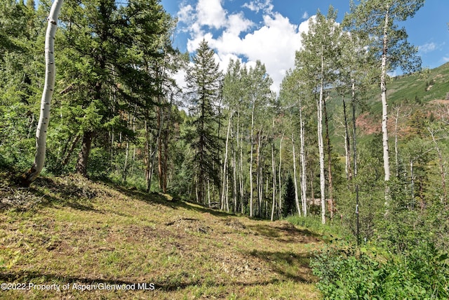 TBD Exhibition Ln Lot 13, Aspen, CO 81611 - photo 22
