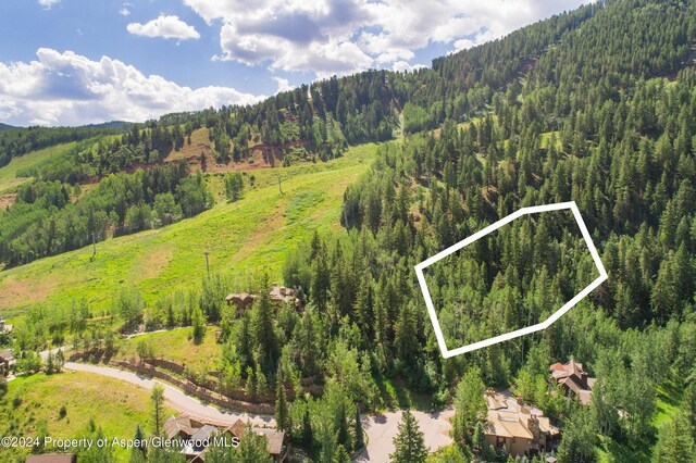 TBD Exhibition Ln Lot 13, Aspen, CO 81611 - photo 15