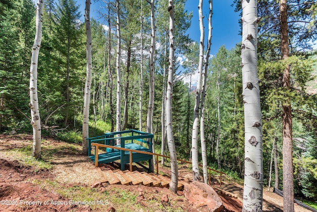 TBD Exhibition Ln Lot 13, Aspen, CO 81611 - photo 1