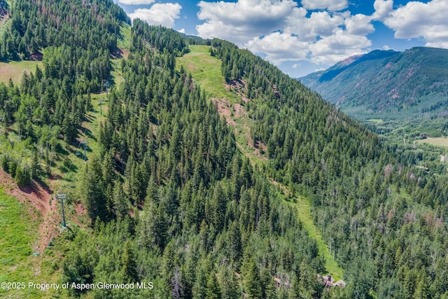 TBD Exhibition Ln Lot 13, Aspen, CO 81611 - photo 12