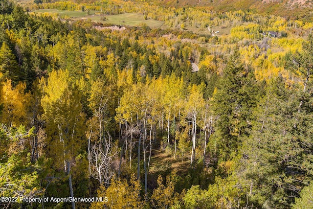 TBD Exhibition Ln Lot 13, Aspen, CO 81611 - photo 30