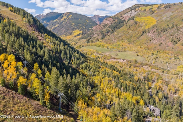 TBD Exhibition Ln Lot 13, Aspen, CO 81611 - photo 32