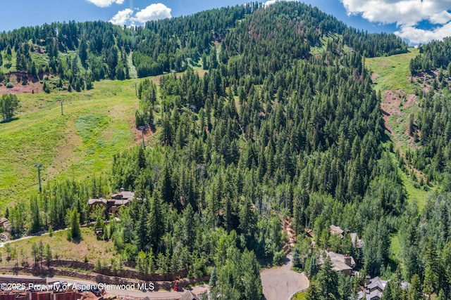 TBD Exhibition Ln Lot 13, Aspen, CO 81611 - photo 9