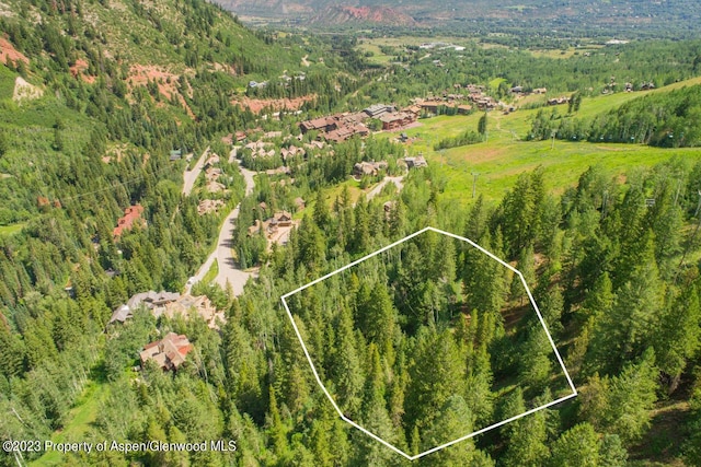 TBD Exhibition Ln Lot 13, Aspen, CO 81611 - photo 16