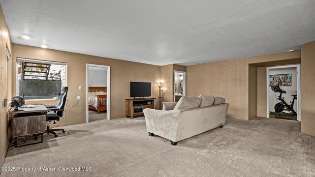 129 Battlement Creek Trl, Parachute, CO 81635 - photo 20