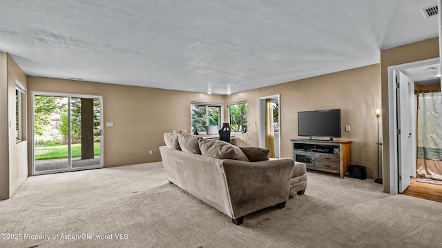 129 Battlement Creek Trl, Parachute, CO 81635 - photo 19