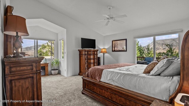 129 Battlement Creek Trl, Parachute, CO 81635 - photo 14