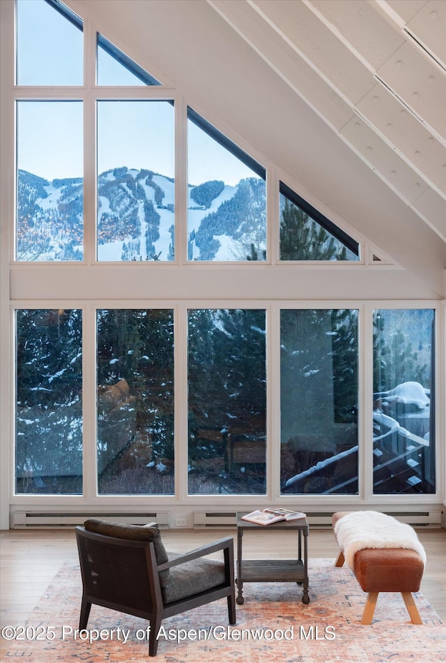 interior space with a mountain view and hardwood / wood-style flooring