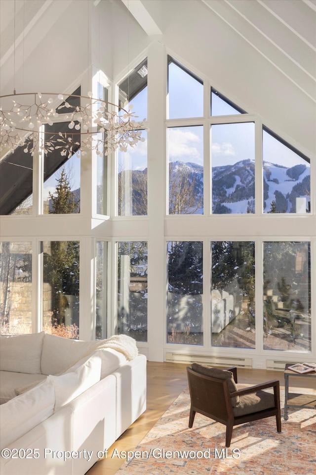 living room featuring a mountain view, wood-type flooring, and high vaulted ceiling