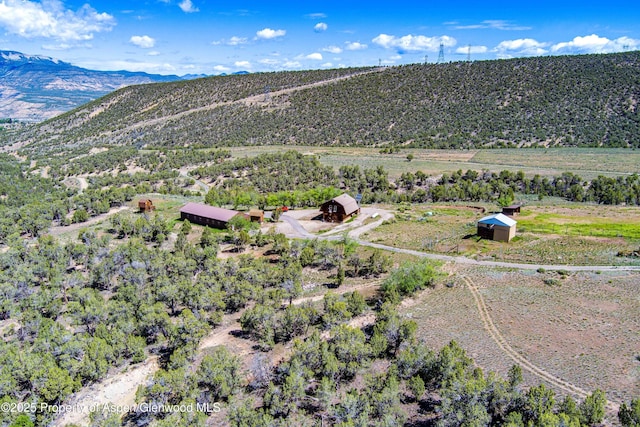 10444 County Road 320, Rifle, CO 81650 - photo 29