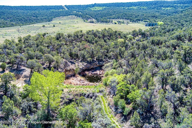 10444 County Road 320, Rifle, CO 81650 - photo 28