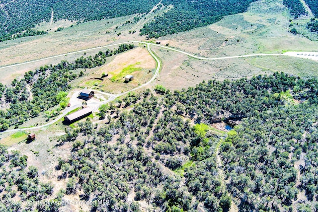 10444 County Road 320, Rifle, CO 81650 - photo 41