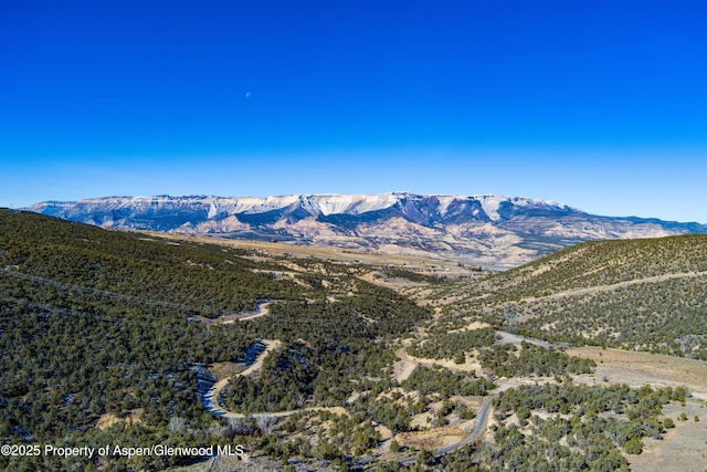 10444 County Road 320, Rifle, CO 81650 - photo 36