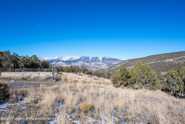 10444 County Road 320, Rifle, CO 81650 - photo 31
