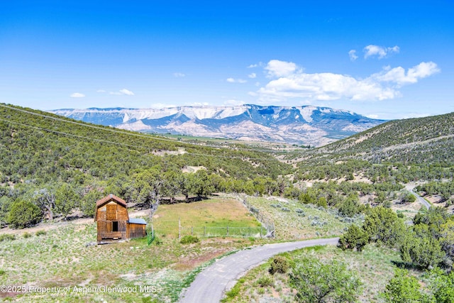 10444 County Road 320, Rifle, CO 81650 - photo 33