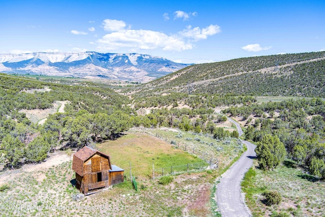 10444 County Road 320, Rifle, CO 81650 - photo 26