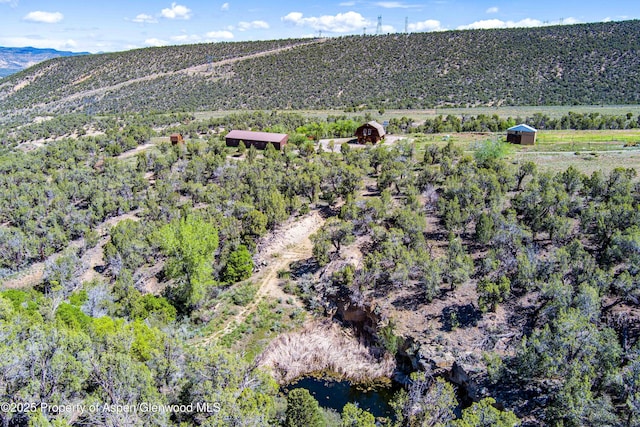 10444 County Road 320, Rifle, CO 81650 - photo 25
