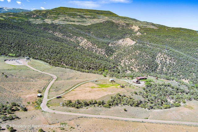 10444 County Road 320, Rifle, CO 81650 - photo 38