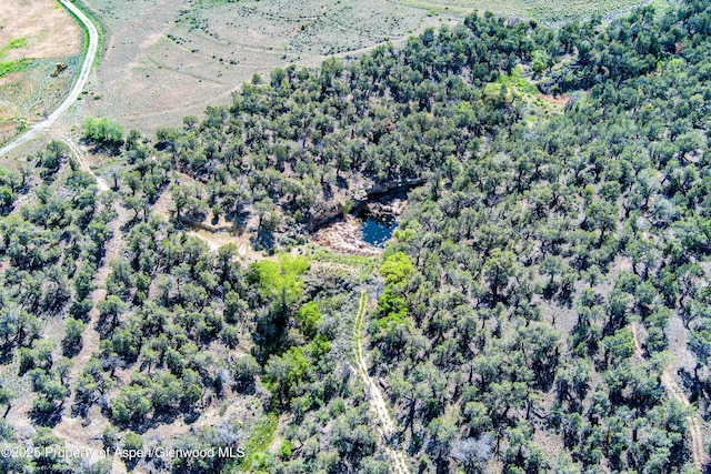 10444 County Road 320, Rifle, CO 81650 - photo 42