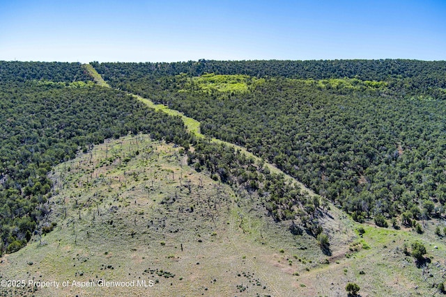 10444 County Road 320, Rifle, CO 81650 - photo 32
