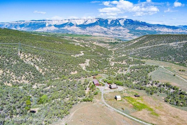 10444 County Road 320, Rifle, CO 81650 - photo 35