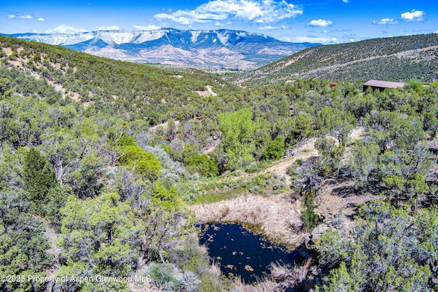 10444 County Road 320, Rifle, CO 81650 - photo 30