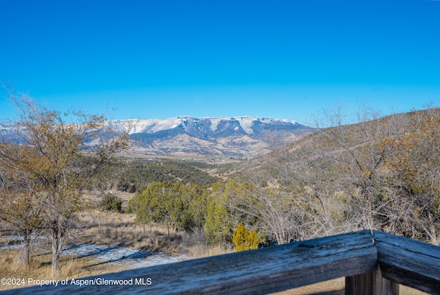 10444 County Road 320, Rifle, CO 81650 - photo 10