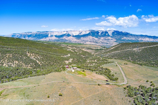 10444 County Road 320, Rifle, CO 81650 - photo 34