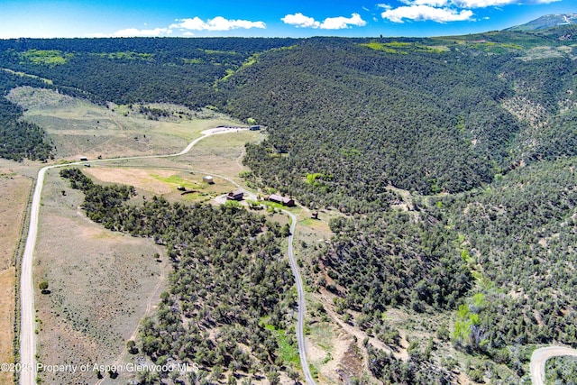 10444 County Road 320, Rifle, CO 81650 - photo 40