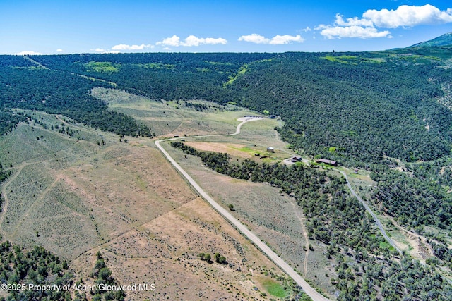10444 County Road 320, Rifle, CO 81650 - photo 39