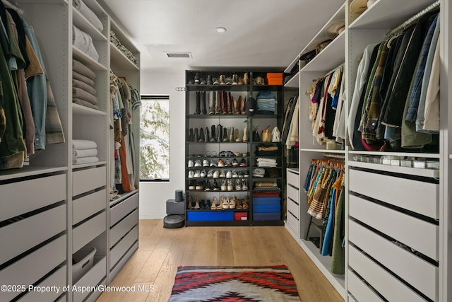 373 Sopris Creek Rd Unit 6, Basalt, CO 81621 - spacious closet with wood finished floors