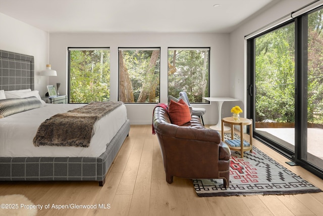373 Sopris Creek Rd Unit 6, Basalt, CO 81621 - bedroom with multiple windows, light wood finished floors, and access to outside