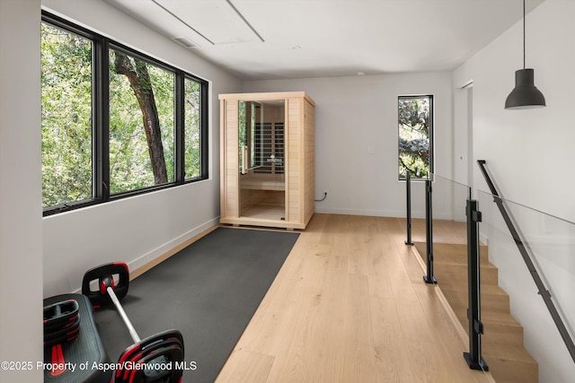 373 Sopris Creek Rd Unit 6, Basalt, CO 81621 - exercise room with healthy amount of natural light, attic access, and wood finished floors