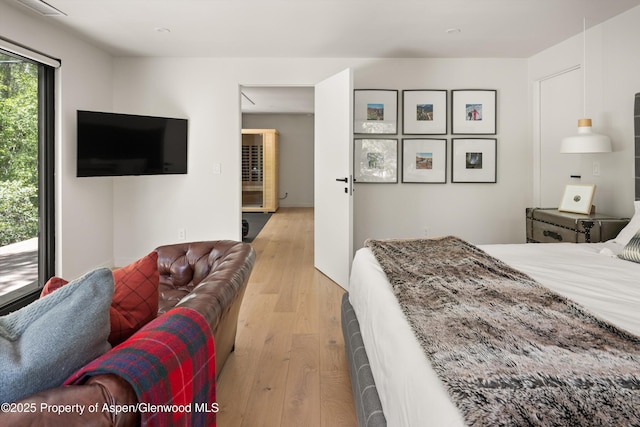 373 Sopris Creek Rd Unit 6, Basalt, CO 81621 - bedroom with light wood-style floors and recessed lighting