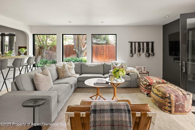 373 Sopris Creek Rd Unit 6, Basalt, CO 81621 - living room featuring arched walkways