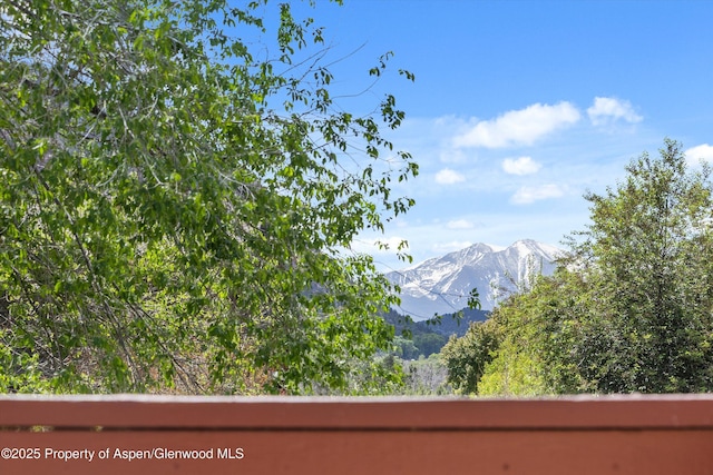 4122 Sky Ranch Dr, Glenwood Springs, CO 81601 - mountain view